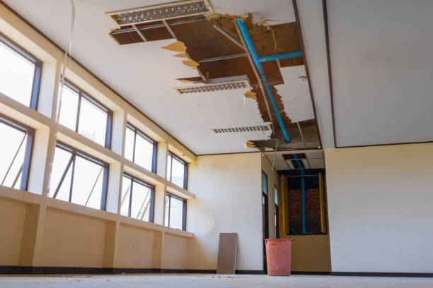 Best Carpet water damage restoration  in Roxboro, NC