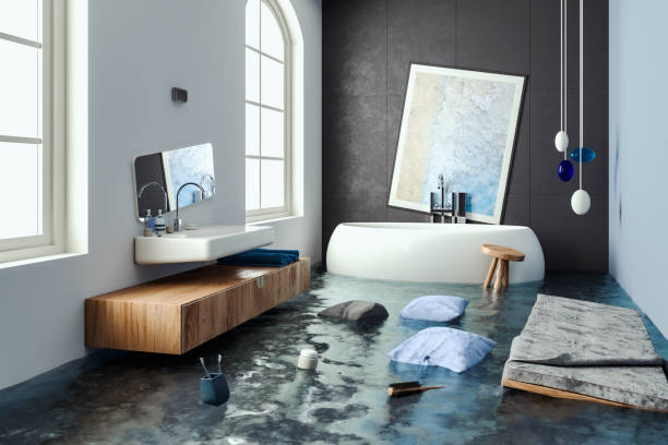 Best Emergency water damage restoration  in Roxboro, NC