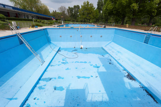 Best Flood restoration services  in Roxboro, NC
