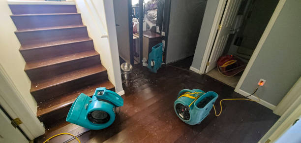 Best Residential water damage restoration  in Roxboro, NC