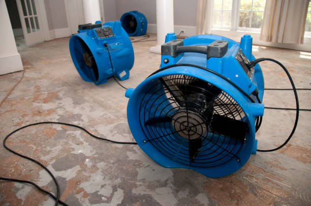 Best Water damage restoration near me  in Roxboro, NC